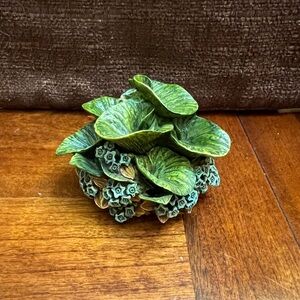 Harmony Garden Forget Me Not
1998